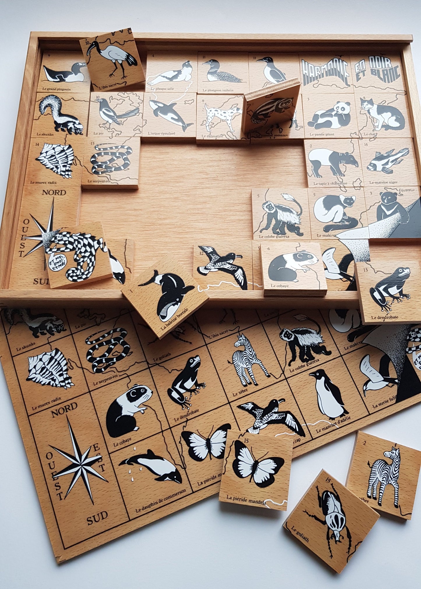 Harmonie en Noir et Blanc